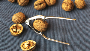 nutcracker being used to crack walnuts nutcracker being used to crack walnuts