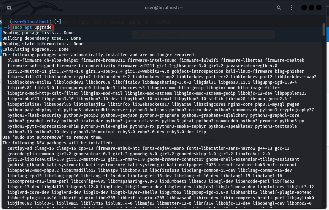 Showing the sudo apt upgrade command being run to upgrade packages on the system