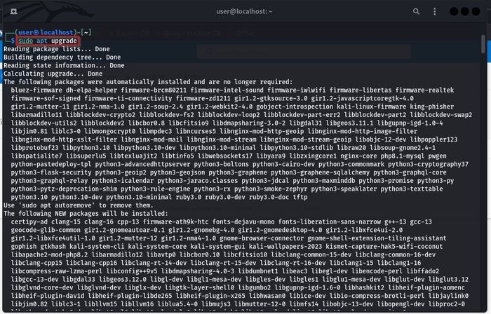 Showing the sudo apt upgrade command being run to upgrade packages on the system Showing the sudo apt upgrade command being run to upgrade packages on the system