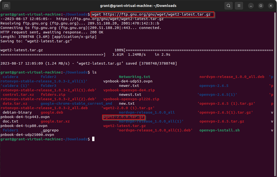 wget command example