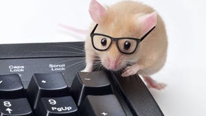 brown mouse wearing black glasses with front feet on keyboard