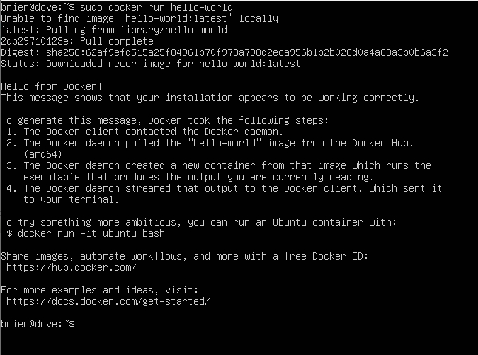 Screenshot shows use of the Hello World image to test Docker