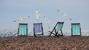 Beach chairs on the sand with sea gulls