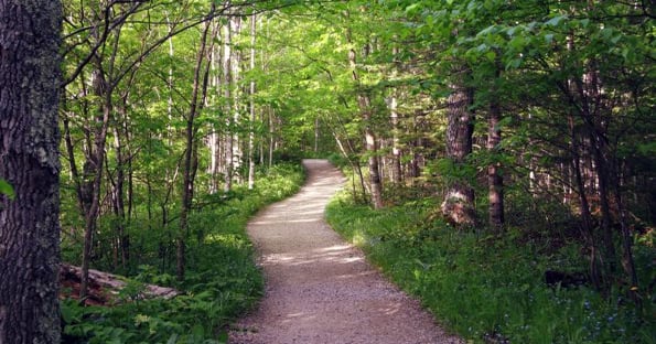 PowerShell Module Path