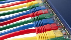 multicolored ethernet network cables