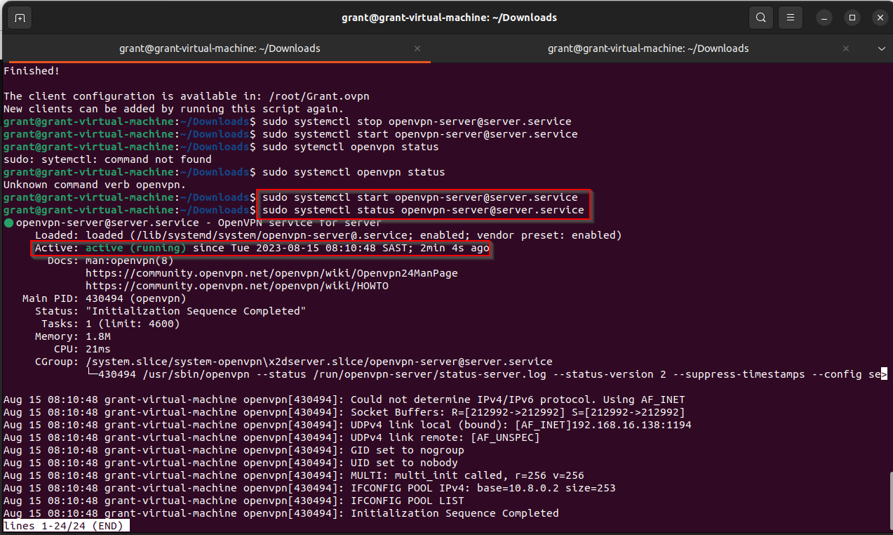 shows the OpenVPN service is running