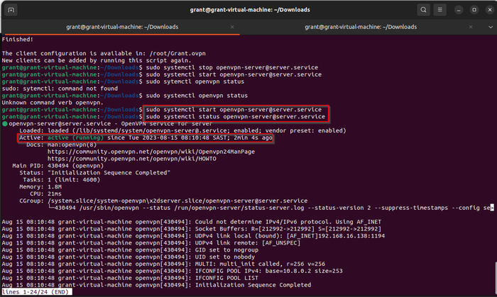 shows the OpenVPN service is running shows the OpenVPN service is running