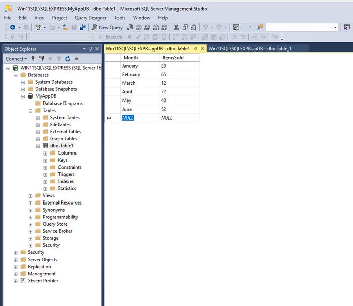 shows SSMS being used to add data to the database shows SSMS being used to add data to the database