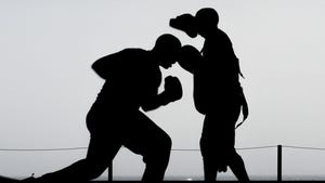 Boxers Sparring