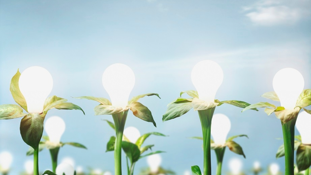 Automation’s Role in Corporate Sustainability Initiatives