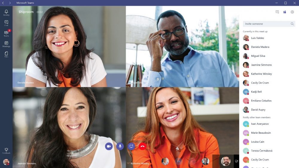 Microsoft Teams video call participants