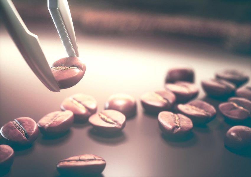 tweezers remove a coffee bean from a group of coffee beans tweezers remove a coffee bean from a group of coffee beans