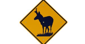 antelope sign antelope sign