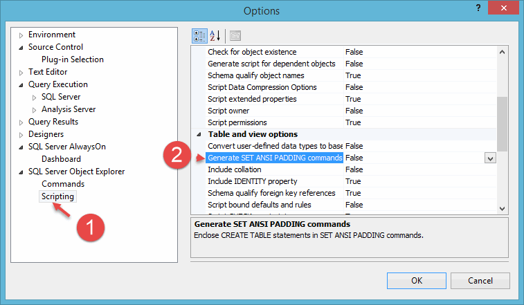 SQL Server Management Studip Options screenshot