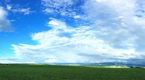 Scene resembling Windows XP home screen Scene resembling Windows XP home screen