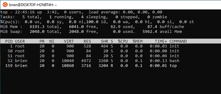 Ubuntu screenshot shows Top command and resulting data about processes that are running