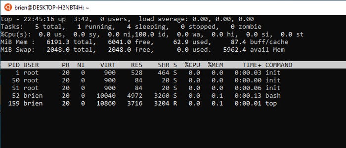 Ubuntu screenshot shows Top command and resulting data about processes that are running