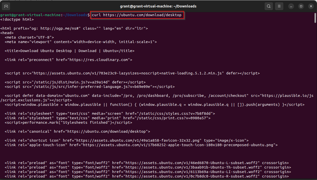 curl command example