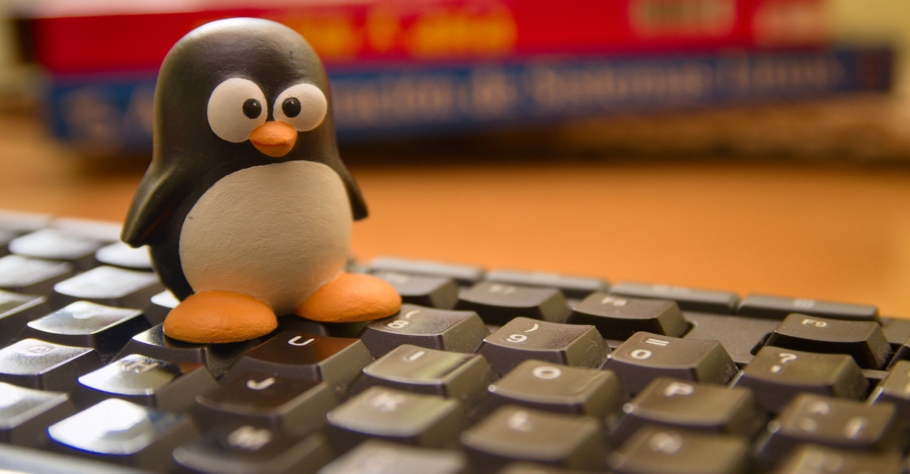 Tux penguin, emblem of the Linux operating system, on a computer keyboard Tux penguin, emblem of the Linux operating system, on a computer keyboard