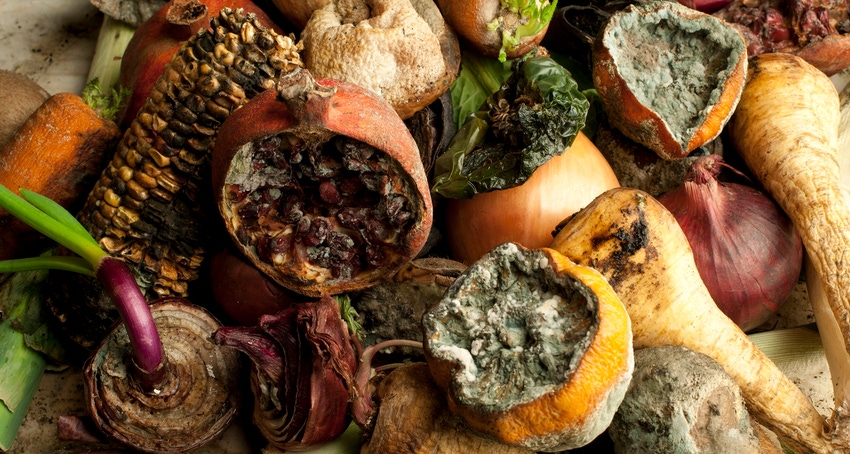 Rotten fruit and vegetables clustered together on a table top