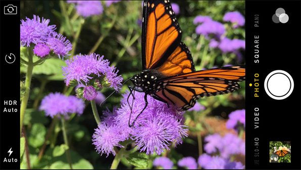 Apple iPhone 6 Plus Second Impressions