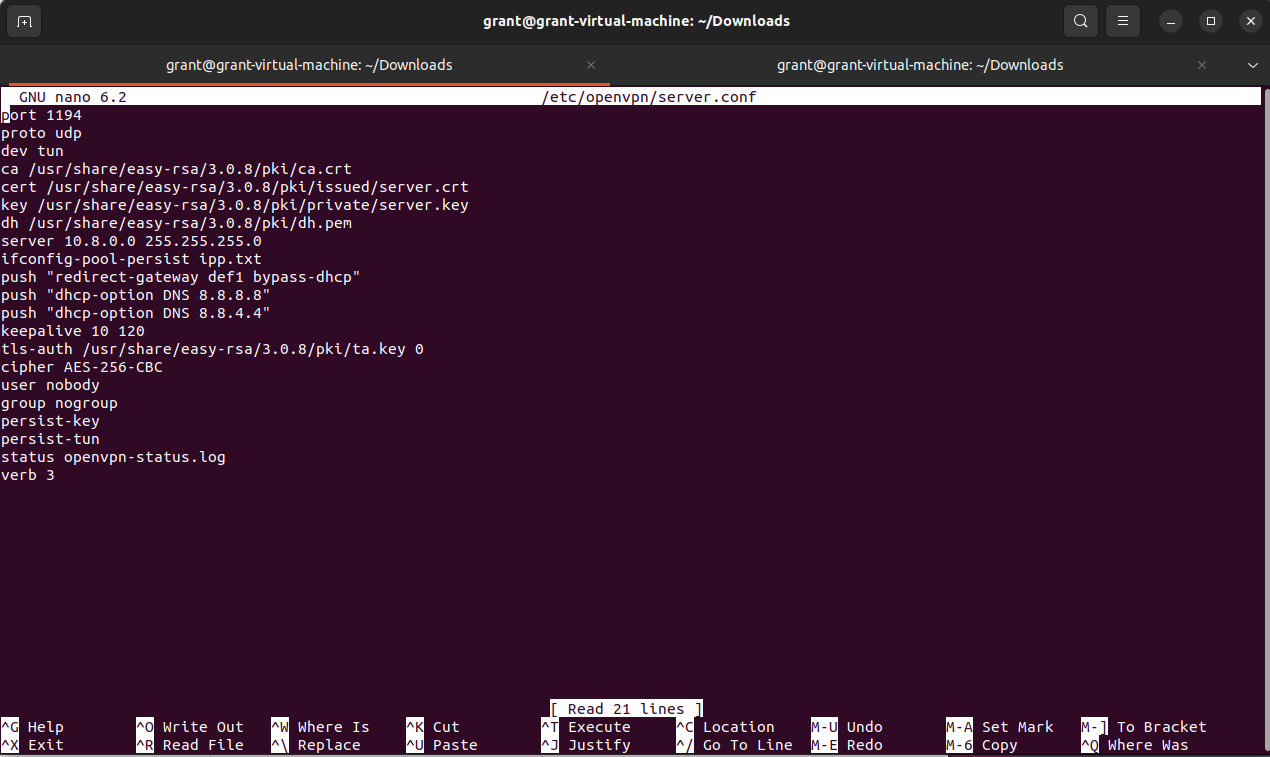 shows opening/editing the OpenVPN server configuration file using the Nano text editor