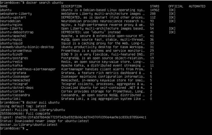 Screenshot shows the commands docker search ubuntu and docker pull ubuntu