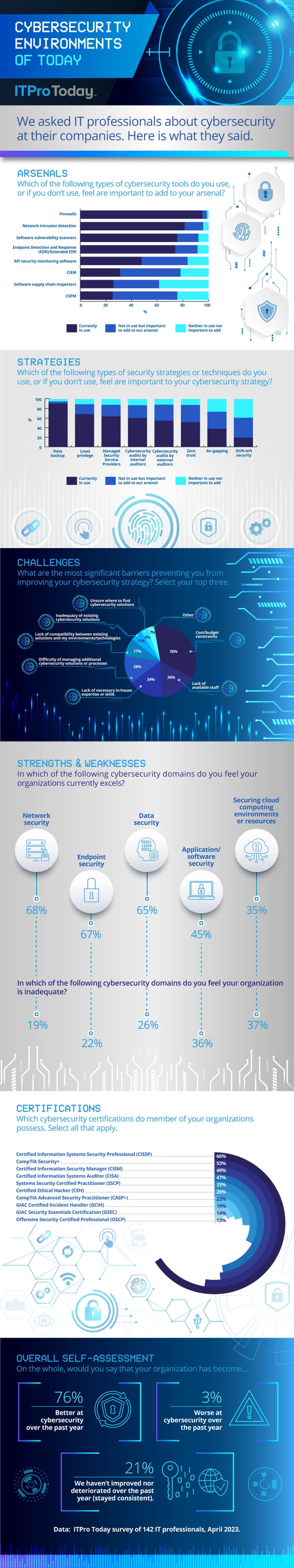 Infographic displays data about cybersecurity from a survey of IT professionals