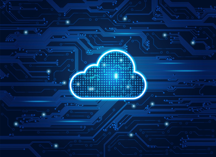 How to Optimize Cloud Networking Services Costs