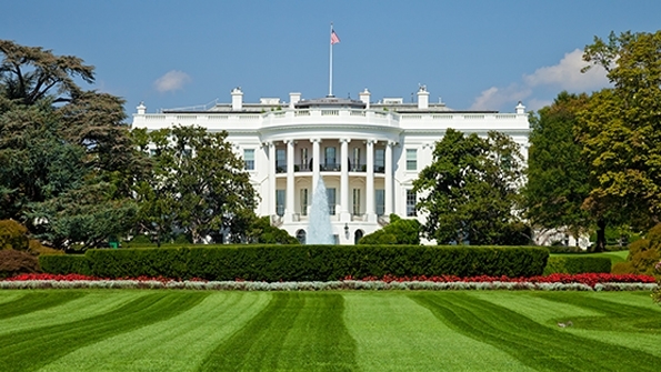 Momentum Grows for a Digital Watchdog to Regulate Tech Giants