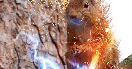 Surviving Electric Squirrels and UPS Failures