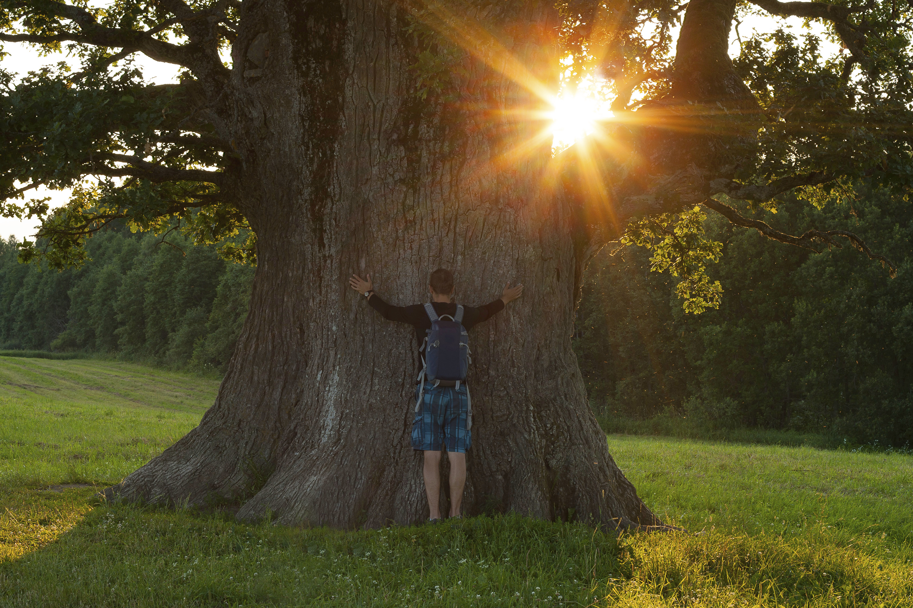Hotfix to Increase Azure Backup Data Source Storage Size Limits Available