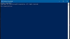 Find unique entries with PowerShell