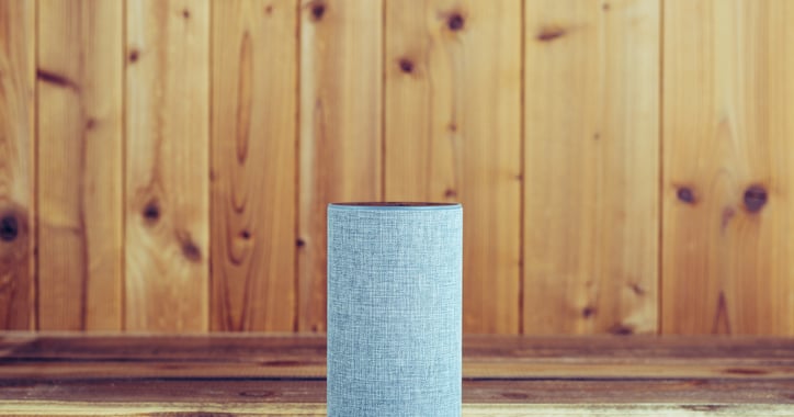 Alexa Privacy Concerns and Why Companies Must Care