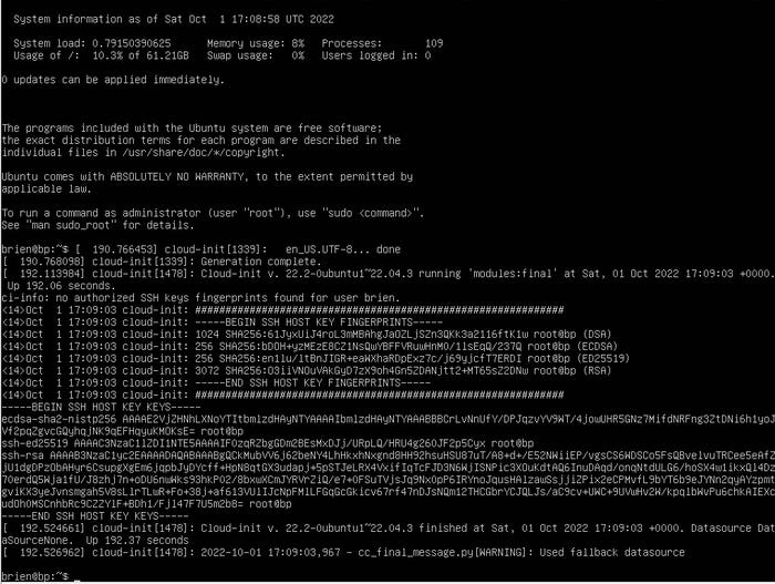 Screenshot of the Ubuntu Server interface