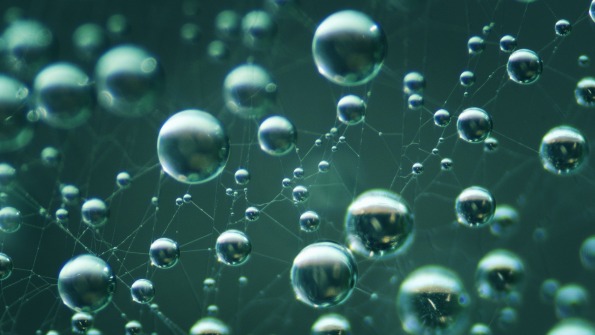 Web with water droplets