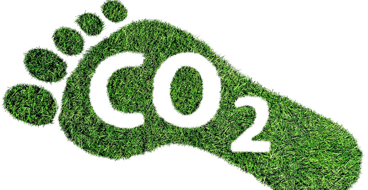 grass footprint with CO2 written on it grass footprint with CO2 written on it