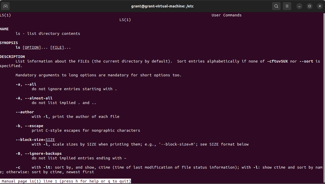output of the man command