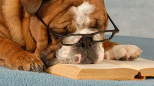English Bulldog with glasses resting head on an open book