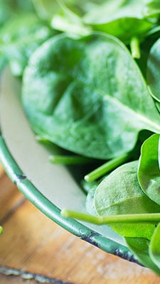 Spinat einkaufen, lagern und zubereiten | REWE.de