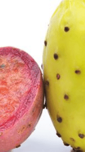 Kaktusfeige  die exotische Frucht | REWE Lexikon