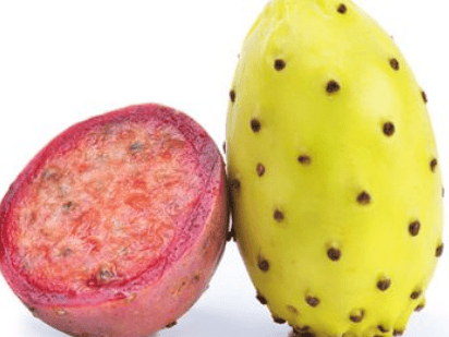 Kaktusfeige  die exotische Frucht | REWE Lexikon