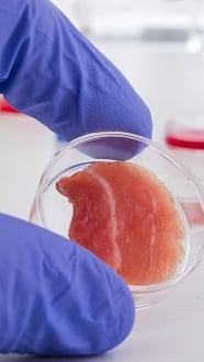 In-Vitro-Fleisch  frisch aus dem Labor | REWE.de