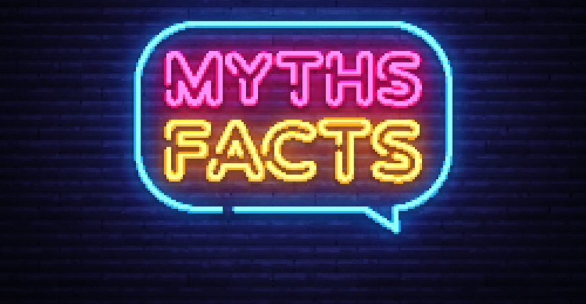 myths and facts spelled in neon
