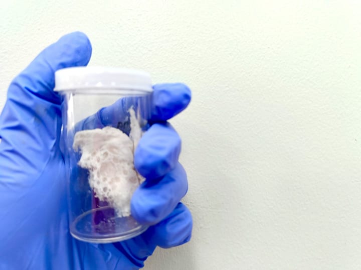 US specialty polymers market projected to hit $64bn by 2035