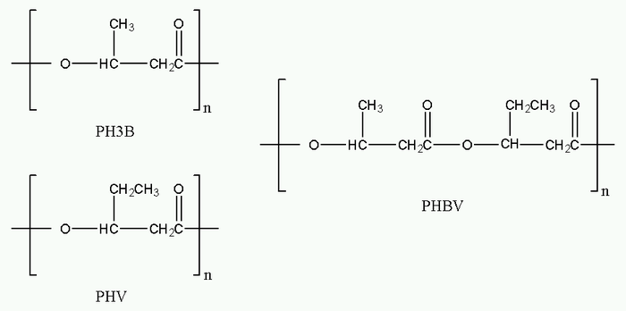 Polyhydroxyalkanoates.png