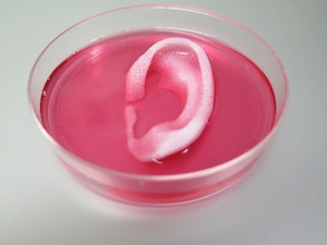 We are closer to 3D printing human organs than you might think