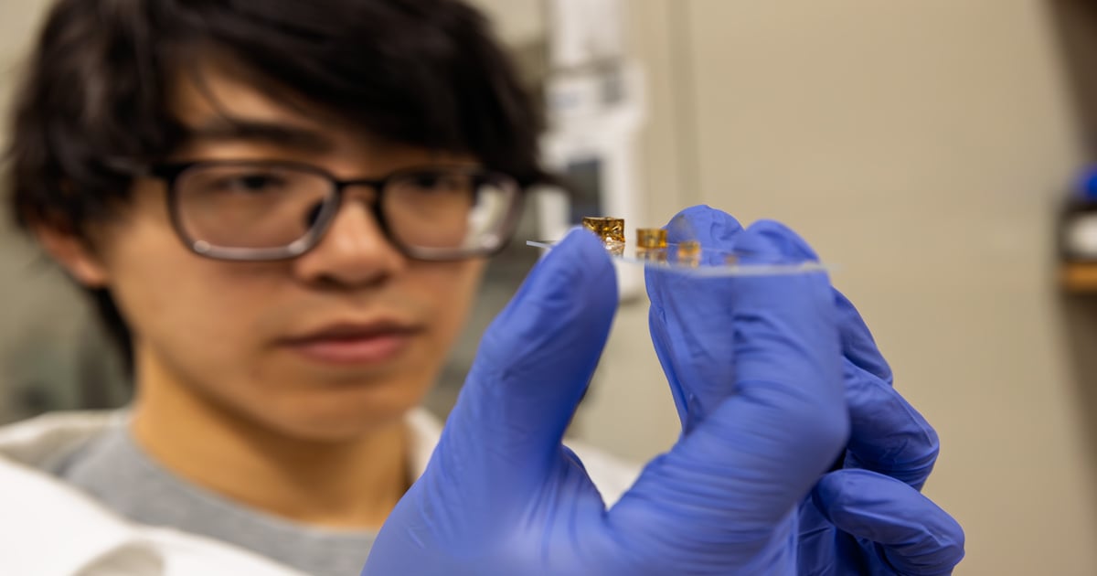 Georgia Tech Develops Adaptive Polymers