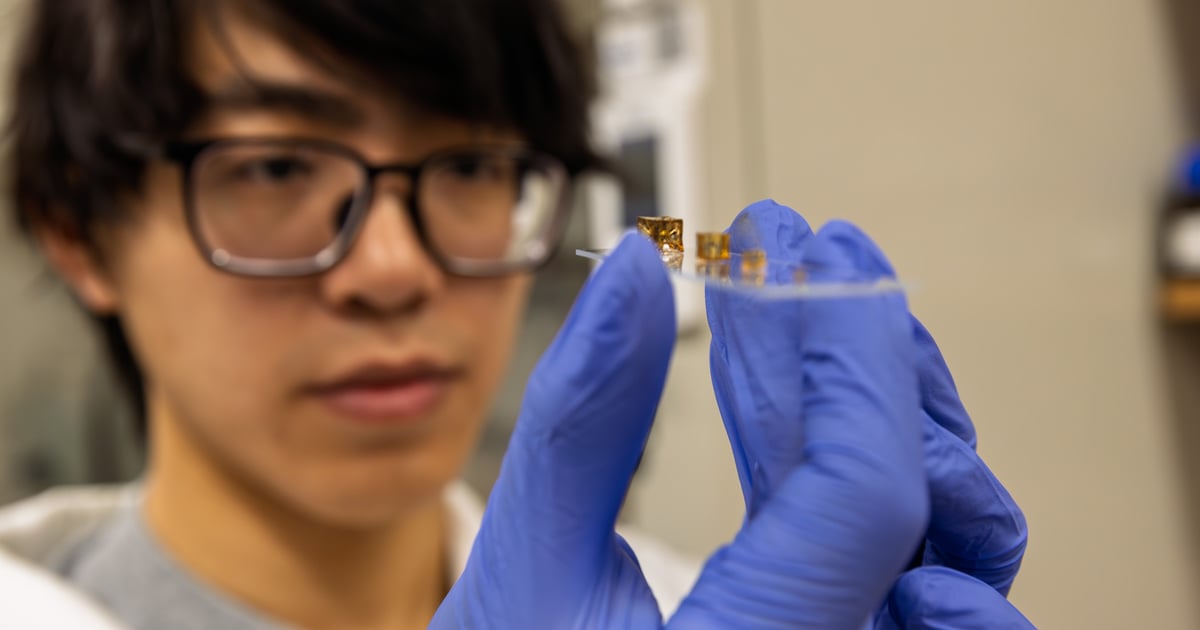 Georgia Tech Develops Adaptive Polymers