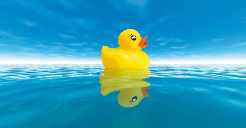 Rubber Ducky floating on water